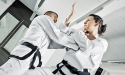 Up to 57% Off at House of Arts - Martial arts academy