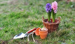 $19 for $50 Worth of Gardening Supplies at AJT Supplies