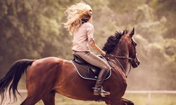 Horse-Simulator Riding Lesson with Optional 30-Minute Session with Real Horse at Five Horses (Up to 43% Off)