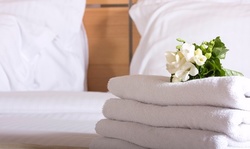 Two or Four Hours of House Cleaning from Triumph Cleaning Services (Up to 48% Off)