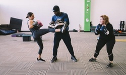 Two or Four 60-Minute Personal Training Sessions for One or Two at Lion Fitness (Up to 54% Off)