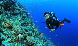 Discover Scuba Course for One or Two at East Coast Divers (Up to 76% Off)