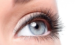One Eyelash-Lifting and -Tinting or Eyebrow Lamination and Tinting Treatment at Nush Skincare (Up to 52% Off)