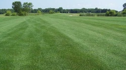 Online Booking - Round of Golf at Moweaqua Golf Course