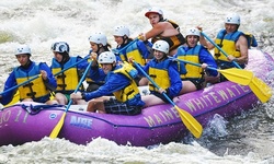 White-Water Rafting Trip for One, Two, or Four from Maine Whitewater (Up to 54% Off)