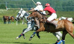 Two or Four Group Polo Lessons at Stage Hill Polo (Up to 87% Off)