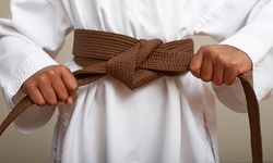 Three or Five Kids' Classes at Bellicose Martial Arts (Up to 73% Off)