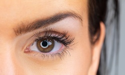 Lash Lift with Optional Tint at Posh Elements Beauty Bar (Up to 53% Off)