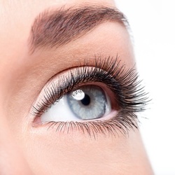 $69 for Full Set of Classic Mink Eyelash Extensions at Eyelashes by Valentina ($110 Value)