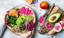 Quick and Easy Vegan Cooking Course from International Open Academy (94% Off)