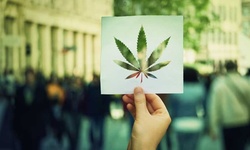 $35 for California Medical Marijuana Card Consultation from Heally ($50 Value)
