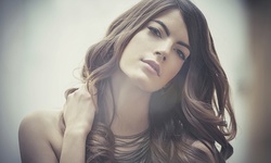 Haircut Styling Services from Letty at Fazio Hair Palace (Up to 61% Off). Four Options Available