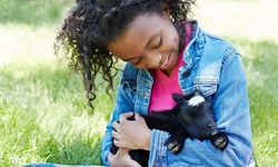 One Goat Yoga Class for One, Two, Three or Four People at GoatToBeZen Yoga (Up to 56% Off)
