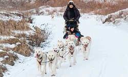 $172 for Winter Dogsledding Adventure with Husky Racing Team at Hilltown Sleddogs ($400 Value) 