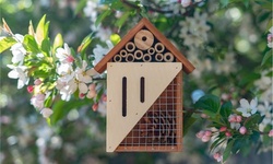 Pollinating Palace - Bee & Butterfly Wooden Insect Home (1,2 or 3 Pack)