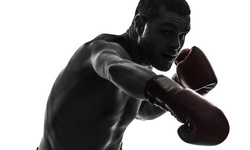 10 Boxing or Kickboxing Classes at KidFitBoxing (55% Off)