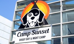 $250 for $400 Toward Dog Daycare at Camp Sunset Doggy Day & Night Camp
