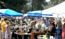 Annual Flea Market Shopping Pass for One or Two (Up to 53% Off) 