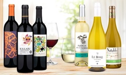 International Six Pack of Wine from Wine Insiders (46% Off)