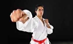 Four or Six Weeks of Unlimited Karate and Self-Defense Classes at Western New York Karate Center (Up to 60% Off)