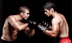 4 or 10 Muay Thai or Mixed-Martial-Arts Classes at New York San Da Kickboxing (Up to 75% Off) 