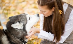 Five or 10 30-Minute Dog Walks at Prestige Petcare (Up to 56% Off)