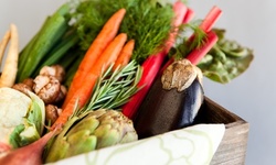 Up to 71% Off on Consultant - Nutritional / Weight-Loss at Healthy Habits DC/Healthy Habits Living
