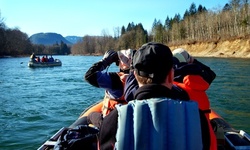 Gila River Rafting, Birding, and Eco Tour for One, Two, or Four at Pacific NW Float Trips (Up to 60% Off)