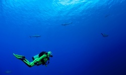 $535 for Two-Day Semi-Private Scuba Course for One at Scuba Network ($668 Value)