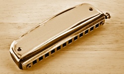 $8 for a Beginners' Online Harmonica Course from SkillSuccess ($199 Value) 