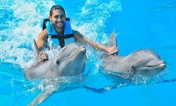 Dolphin Encounter, Swim Adventure, or Royal Swim at Dolphin Discovery (Up to 49% Off). 11 Locations Available.
