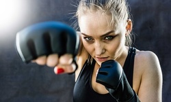 Five or Ten Kickboxing or Karate Classes at Bucks County Karate (Up to 85% Off) 