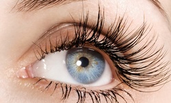 Mink Eyelash Extensions With Optional Touch-Up at Judy And Bella Total Beauty (Up to 50% Off)