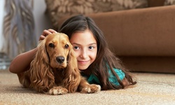 Carpet Cleaning for Up to Ten Rooms from Cleveland Steamer (Up to 73% Off) 