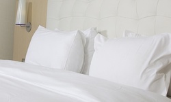 Bed Bug Treatment or Exterior Perimeter Spray for Pests from Pestmaster Services (Up to 50%  Off)