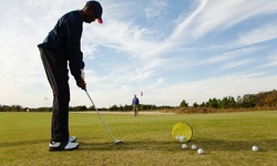 One, Two, or Three Golf Lessons with Optional Green Fees at Golf Instruction by Art Robidoux (Up to 61% Off)