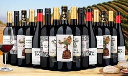 15-Pack of Delicioso Spanish Reds from Wine Insiders