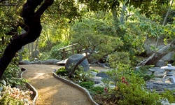 Garden Admission for One, Two, or Four People at Storrier Stearn Japanese Garden (Up to 30% Off)