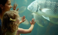 Up to 29% Off on Party - Children's at SeaQuest Interactive Aquarium - Woodbridge, NJ