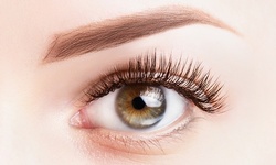 Silver or Platinium Set of Eyelash Extensions with Optional Two-Week Fill at Stylash  (Up to 31% Off)