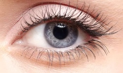$39 for Lash Lift Session at Queenie Beauty ($68 Value)