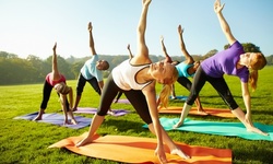 Up to 52% Off on Yoga Classes at Barre Balance Yoga Flow