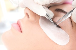 Up to 60% Off on Eyebrow - Waxing - Tinting at The Lash Flutter