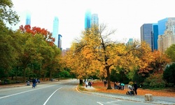 $85 for Pedicab New York City Tour for Up to Three at Go Hybrid NYC ($135 Value)