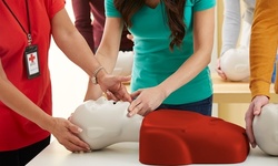 Basic Life Support or CPR, First Aid, and AED Heart Saver Hands-On Class at EmergenCPR (Up to 20% Off)