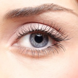 Up to 60% Off on False Eyelash Application at Kiss Lash