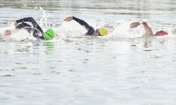 Triathlon-Training Consulting Sessions at TriSmart Training Systems (Up to 47% Off)