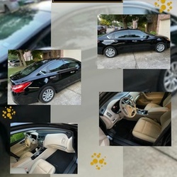 Mobile or In-Shop Detailing Services from Elegant Shine and Detail (Up to 51% Off). Four Options Available.