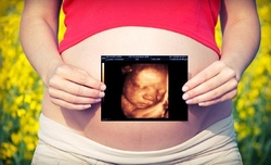 60-Minute Intrauterine Photo Session with Optional Gender Reveal at From the Womb to the World (Up to 59% Off)