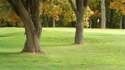 Online Booking - Round of Golf at Springvale Golf Course